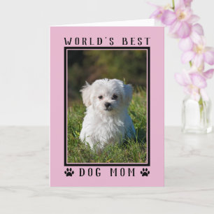 Världens Bästa Hundmamma Rosa Mors Dag Foto Kort