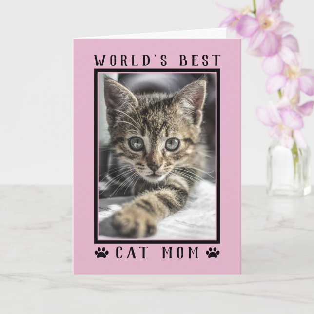 Världens Bästa Kattmamma Födelsedagsfoto Rosa Kort (Orkide)