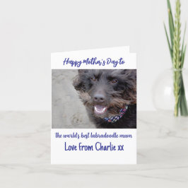 Världens bästa labradoodle-mamma mors dagskort helgkort