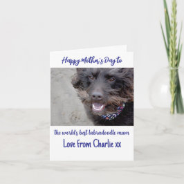 Världens bästa labradoodle-mamma morsdagskort helgkort