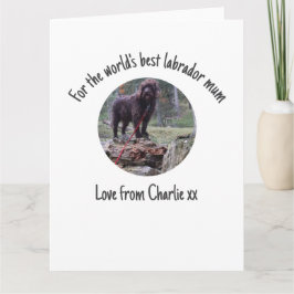 Världens Bästa Labrador Mamma Morsdagskort  Kort