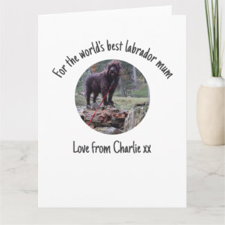 Världens Bästa Labrador Mamma Morsdagskort  Kort