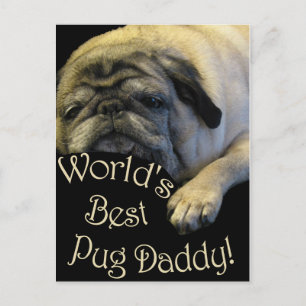 Världens bästa pug-pappa vykort