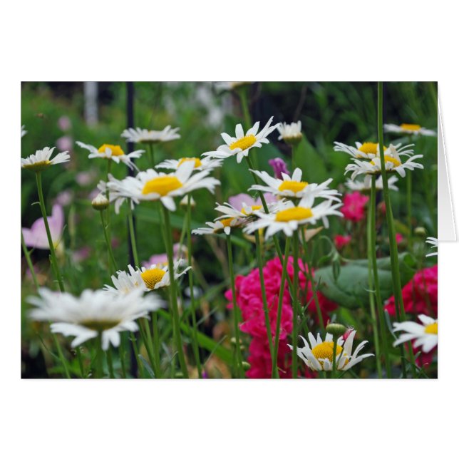 Världens blommor OBS kort (Framsidan Horizontal)