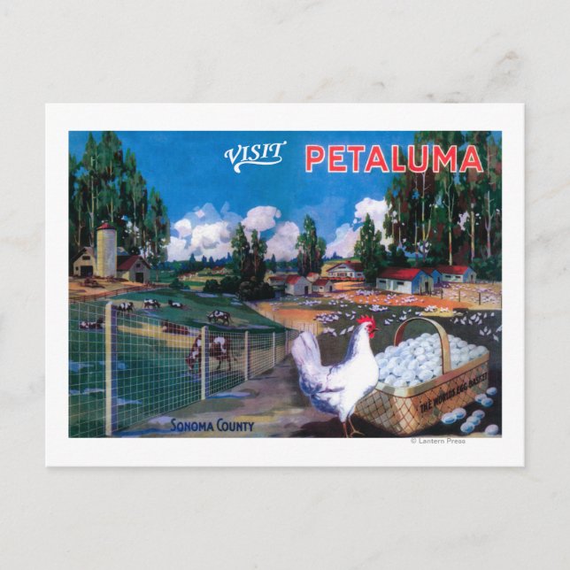 Världens Egg Basket Poster Vykort (Framsida)