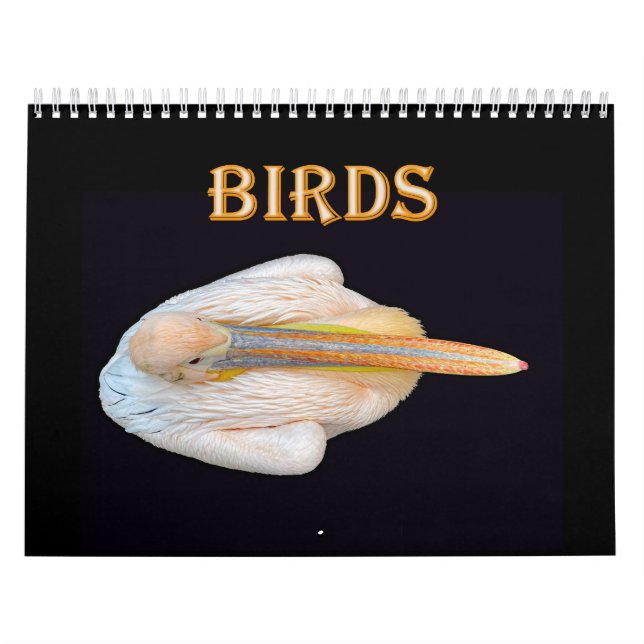 världens fåglar kalender (Omslag)