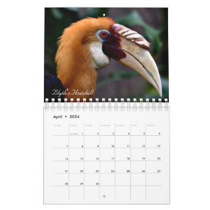 Världens fåglar kalender
