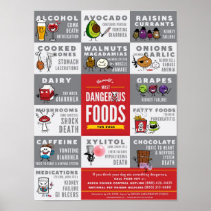 Världens farligaste Mat för Hundar Poster