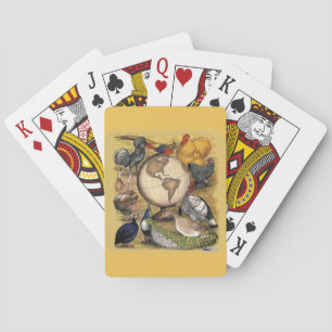 Världens fjäderfä spel kort