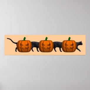 Världens längsta katt poster