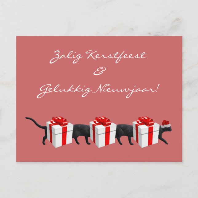 Världens längsta katt vykort (Framsida)