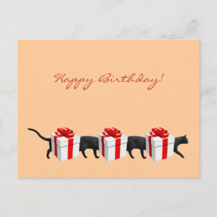 Världens längsta katt vykort