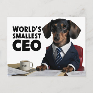 Världens minsta VD, gullig dachshund i kostym Vykort
