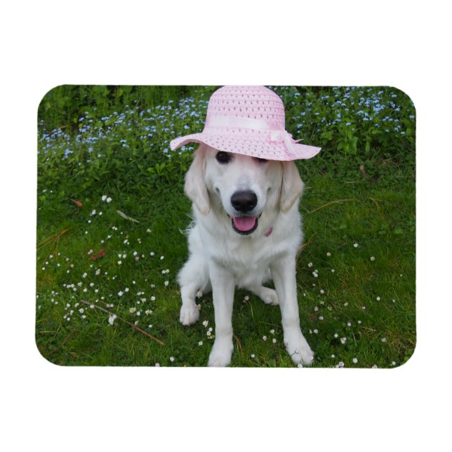 Världens sötaste hund magnet (Horisontell)