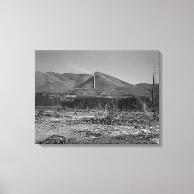 Världens största blygruva - Kellogg Canvastryck (Framsida)