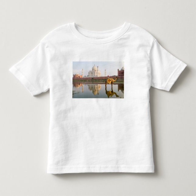 Världsberömda Taj Mahal tempelbegravningsplats vid Tee Shirt (Framsida)
