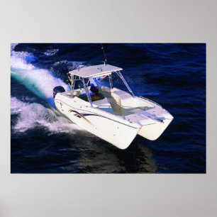 Världskatt 270SD Poster
