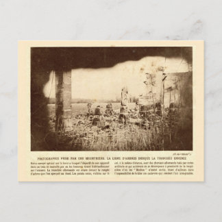 världskrig I, Frankrike, Träd... Vykort