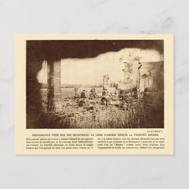världskrig I, Frankrike, Träd... Vykort (Framsida)
