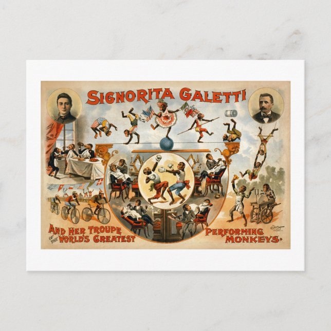 världsmästare Performing Monkey 1892 Vykort (Framsida)