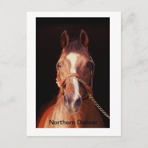 Världsmästare Stallion Vykort
