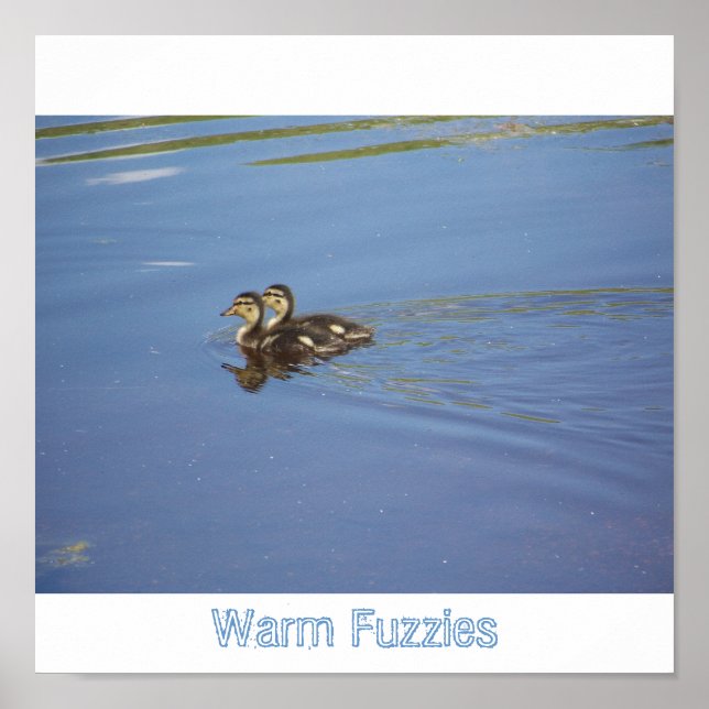 Varm Fuzzies Poster (Framsidan)