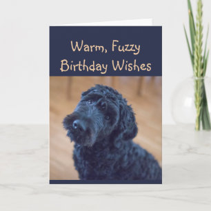 Varm, Fuzzy Birthday Önskemål Cute Black Hund Kort