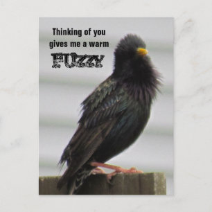 Varm Fuzzy - du tänker på dig Vykort