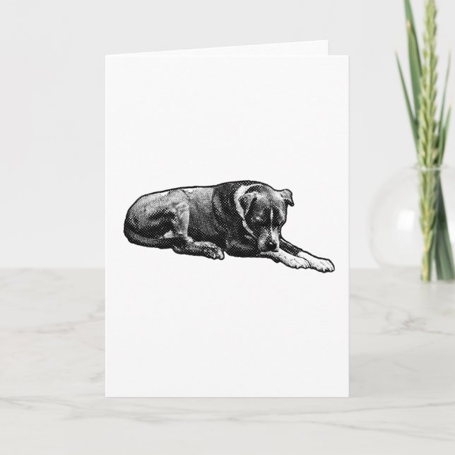 Varm Gaze-Hund kort (Framsida)