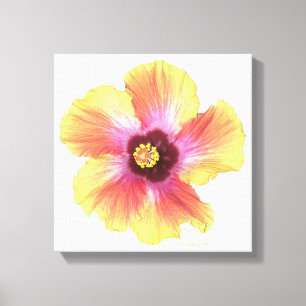 Varm hibiskus canvastryck