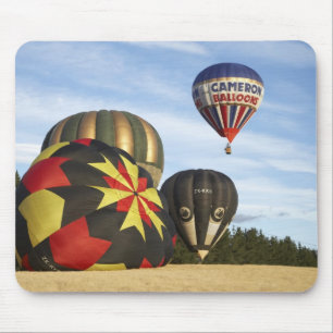 Varm luftballonger nära Wanaka, Sydön, Nya Musmatta