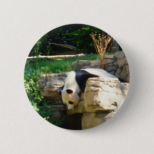 Varm Panda Knapp