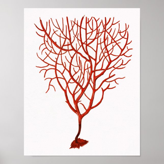 Varm Red Sea Coral No.6 Beach Wall Art Skriv ut Poster (Framsidan)