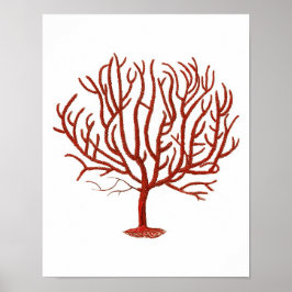 Varm Red Sea Coral nr 4 Utskrift av bågsmuren Poster