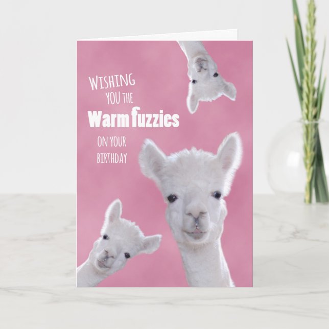 Varma Fuzzies på din födelsedag med Cute Llamas Kort (Framsida)