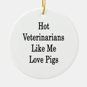 Varma veterinärer gillar mig kärlekgrisar julgransprydnad keramik