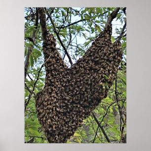 Värme av bin poster