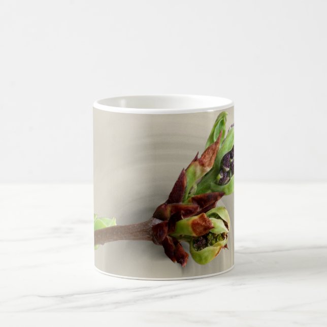 värmen i vår kaffemugg (Center)