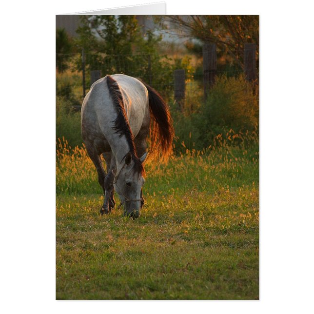 Varmglöd Hälsningskort (Framsidan)