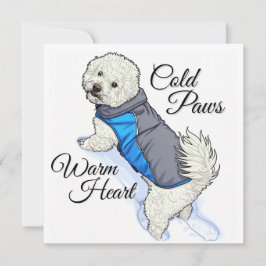 Varmhjärtad Snö Bichon