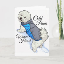 Varmhjärtad Snö Bichon