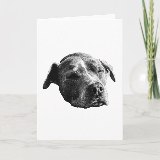 Varmma ord, mjuk skugga kort (Framsida)