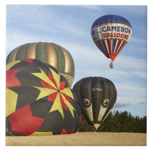 Varmt luftballonger nära Wanaka, Sydön, Nya Kakelplatta