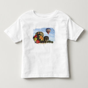 Varmt luftballonger nära Wanaka, Sydön, Nya Tee