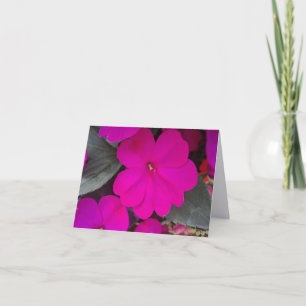 Varmt Rosa Otålig Vikad Notkort Tack Kort