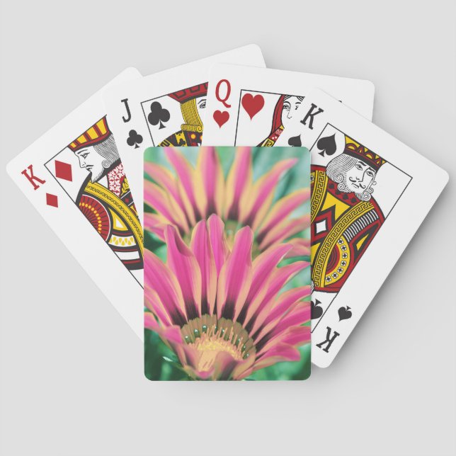 Varmt Rosa Tusenskönas Kronblad Spel Kort (Baksidan)