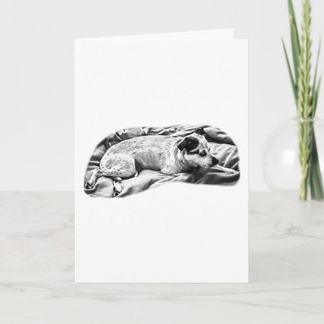 Varmt välkommen från en vaksam valp kort (Framsida)