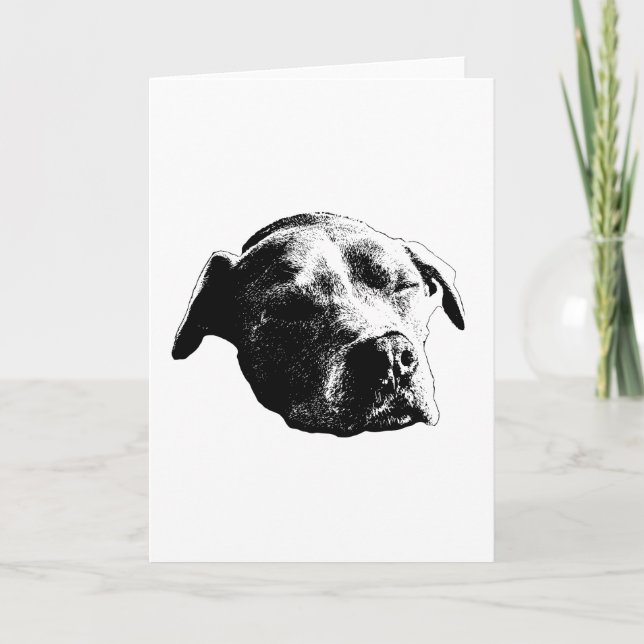 Varmt välkomnande, varsamt meddelande (Framsida)