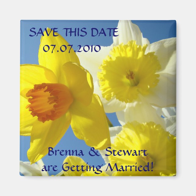 Vårnarzissblommor Spara detta datum magnet (Framsidan)