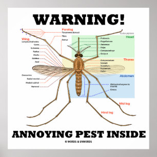 Varning! Annoying Pest Inside (Mosquito Anatomy) Poster